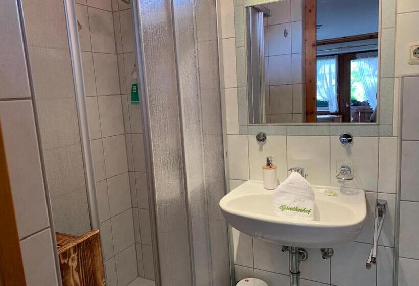 پانسیون Gintherhof