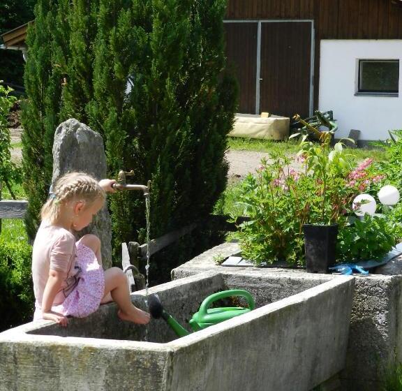 פנסיון Grieswirt