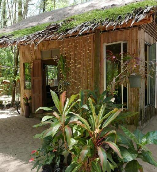 膳宿费 Hapla Beach Cottage