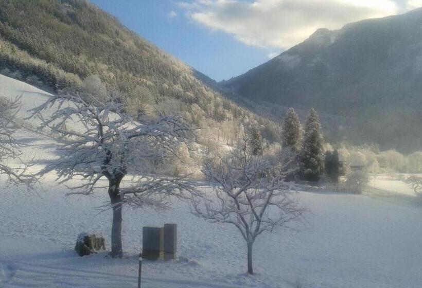 بنسيون Lunzferien