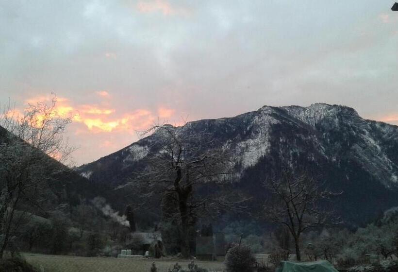 بنسيون Lunzferien