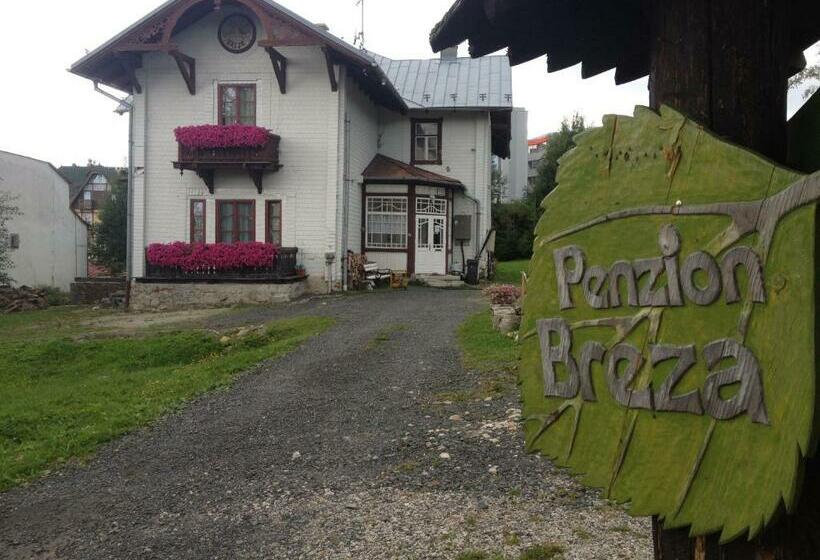 פנסיון Penzión Villa Breza