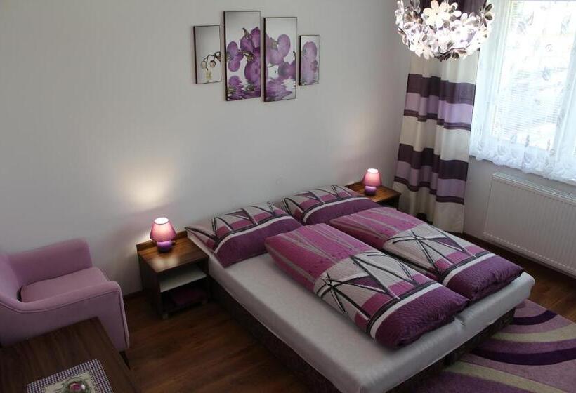 膳宿费 Privat Agnesa