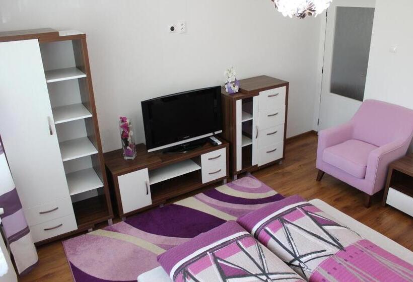 膳宿费 Privat Agnesa