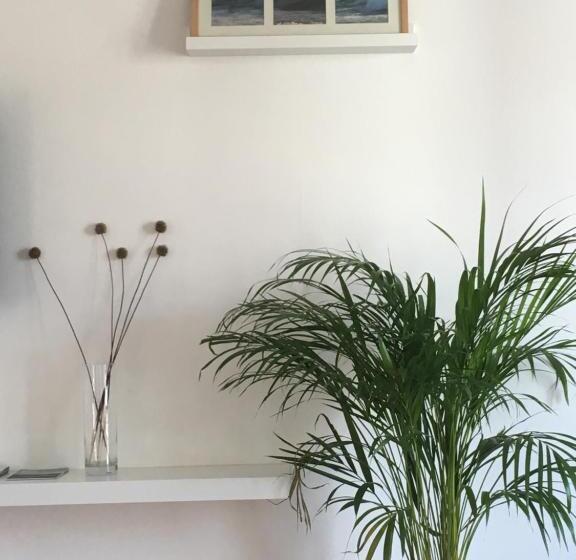 Пансион Retromovement House