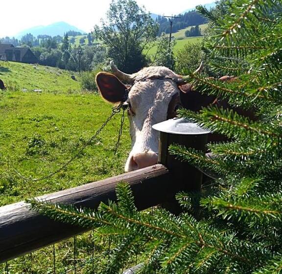 پانسیون Spring Chalet