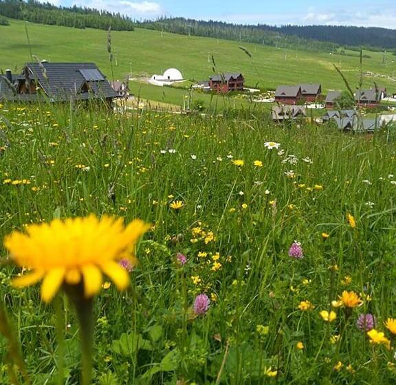 پانسیون Spring Chalet