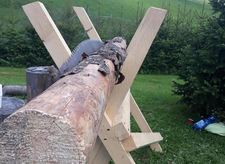 پانسیون Spring Chalet