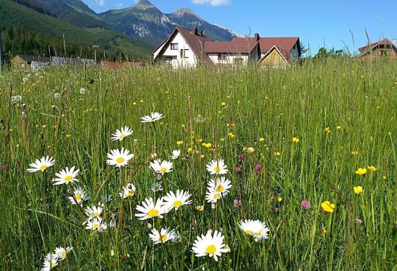 پانسیون Spring Chalet