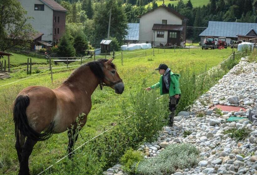 پانسیون Spring Chalet
