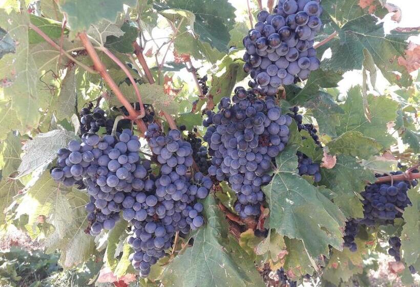 펜션 Une Nuit Au Village Chambre D Hôtes De Charme