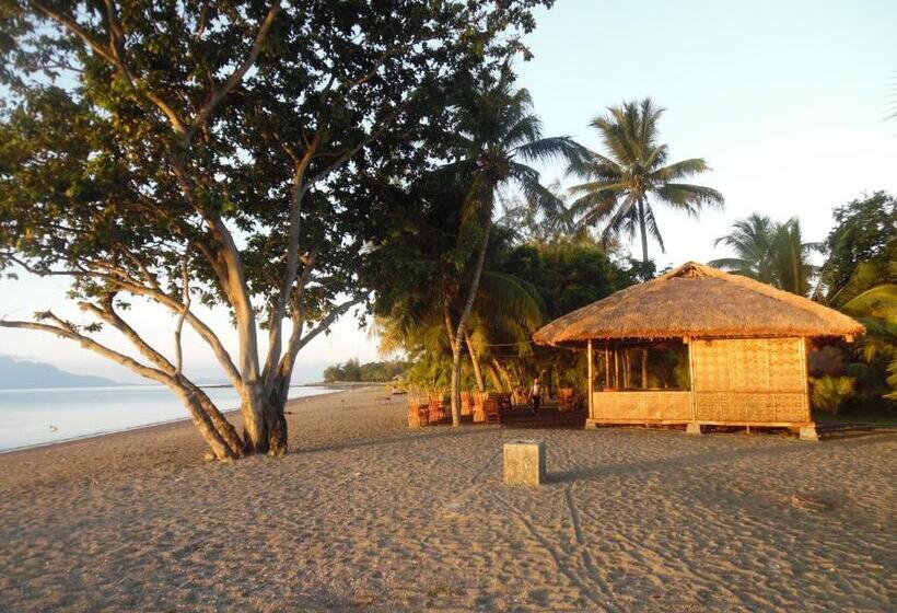 Sea World Club Beach Resort & Dive Center