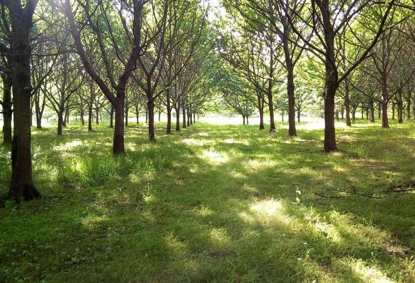 مبيت وإفطار Quinta Do Casal