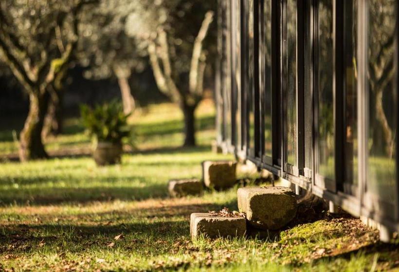 مبيت وإفطار Quinta Do Casal