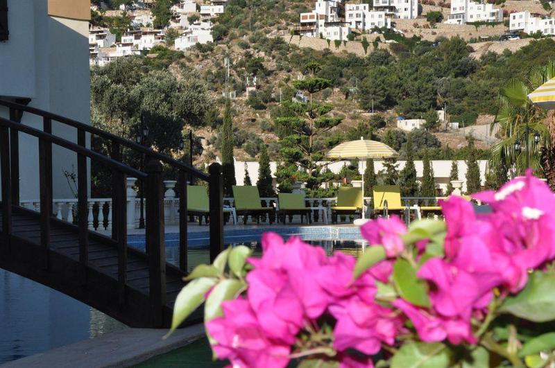 Отель Ale Suite