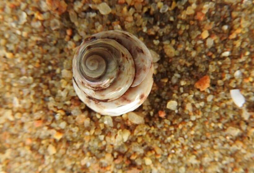 호텔 Alicia Auray Le Bono