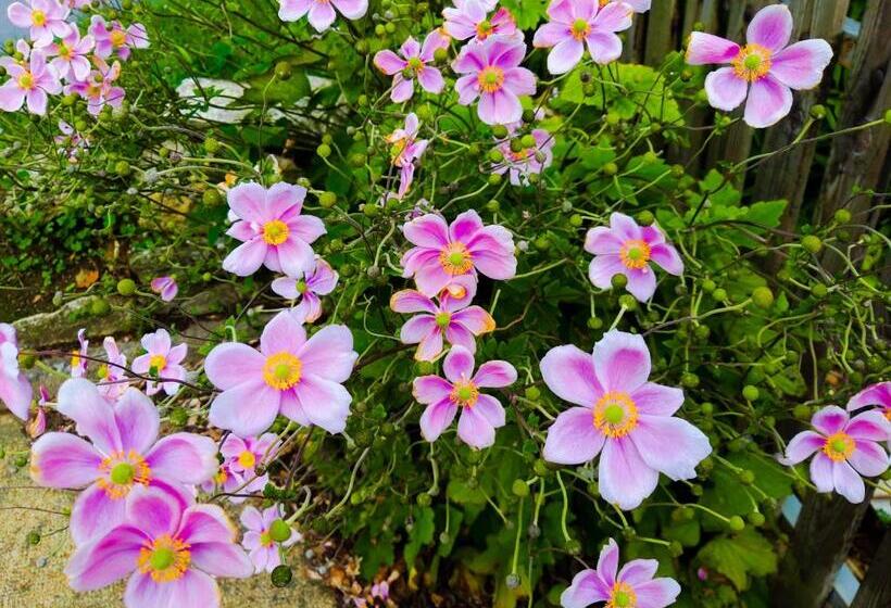 호텔 Alicia Auray Le Bono