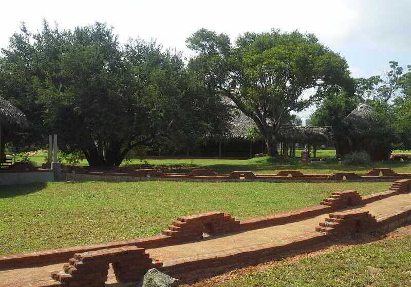 酒店 Aliya Resort And Spa   Thema Collection