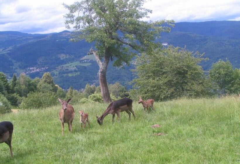 Отель Auberge Obersolberg