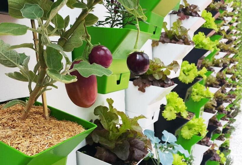 Biohotel Organic Suites