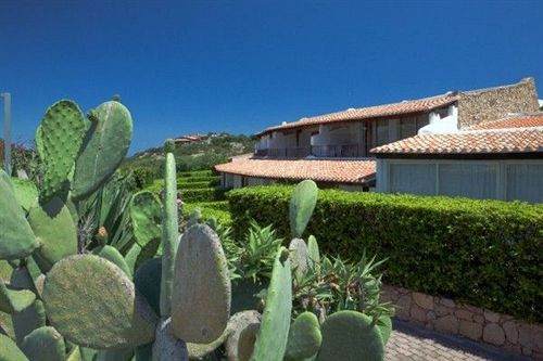 فندق Capo Ceraso Resort