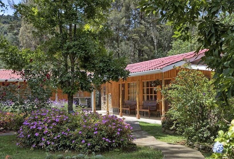 فندق De Montana Suria