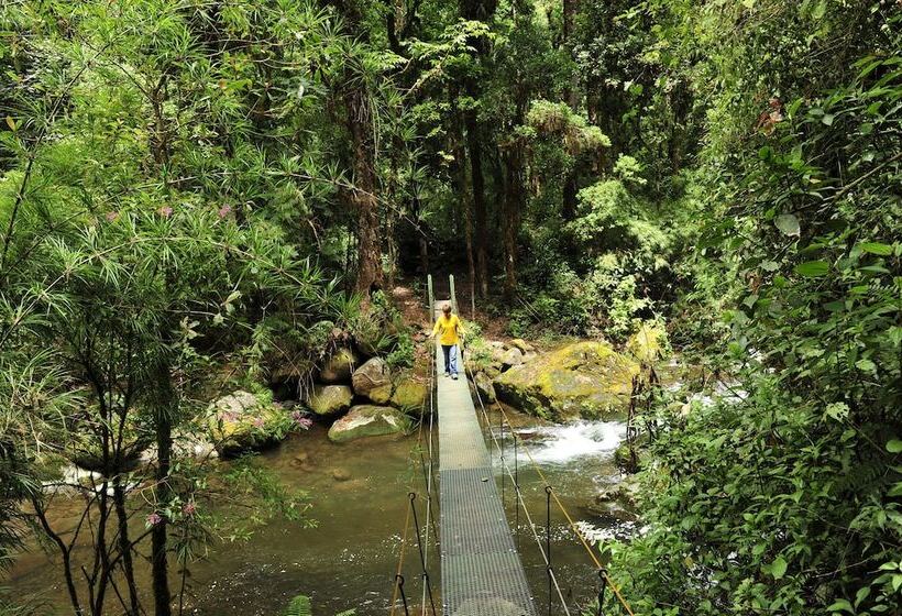 فندق De Montana Suria