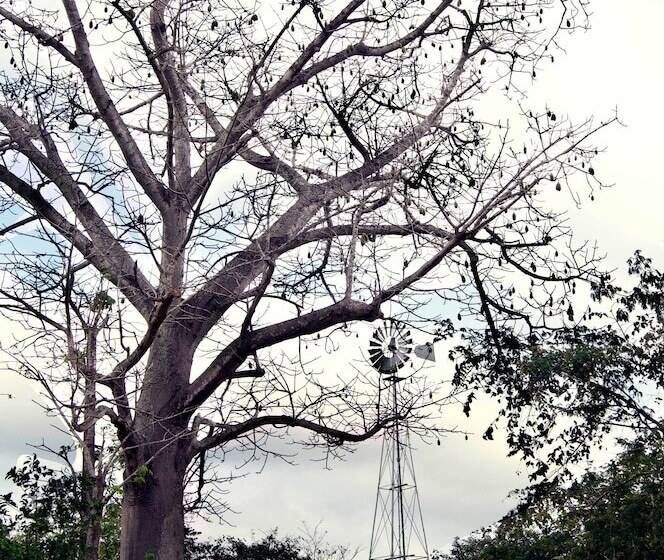 Отель Full Hacienda Santuario Noc Ac