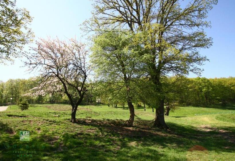 ホテル Gazelle Resort & Spa