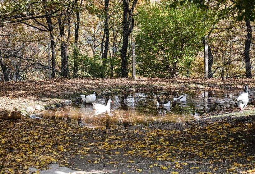 ホテル Gazelle Resort & Spa