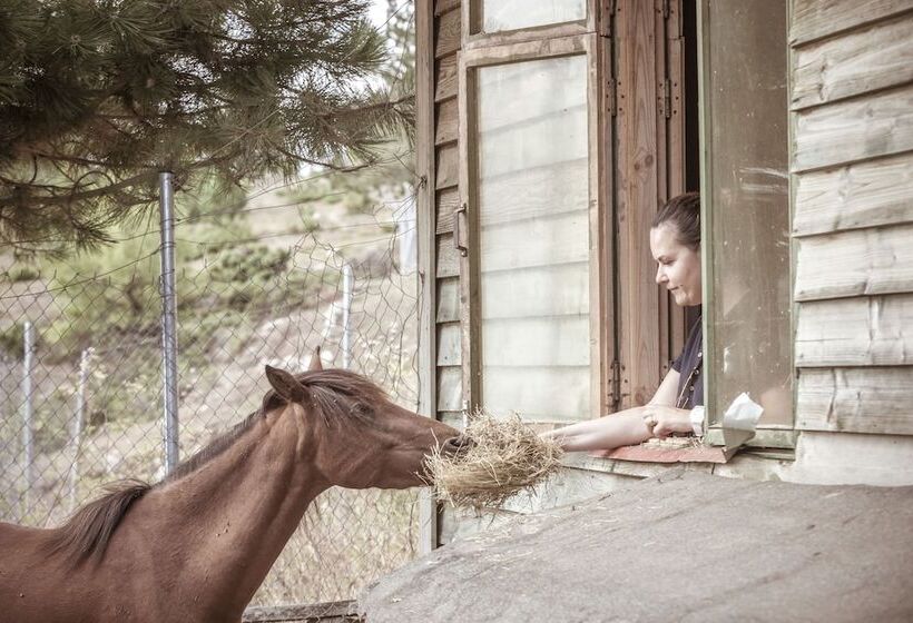 호텔 Grand Forest Metsovo