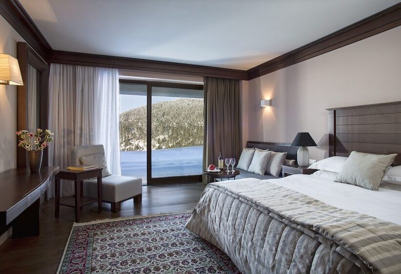 호텔 Grand Forest Metsovo