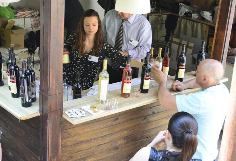 호텔 Guest House Old Plovdiv