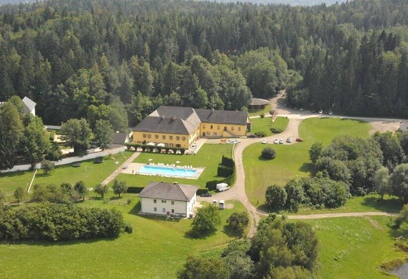 Отель Gut Drasing