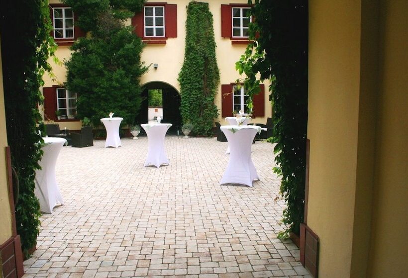 Отель Gut Drasing