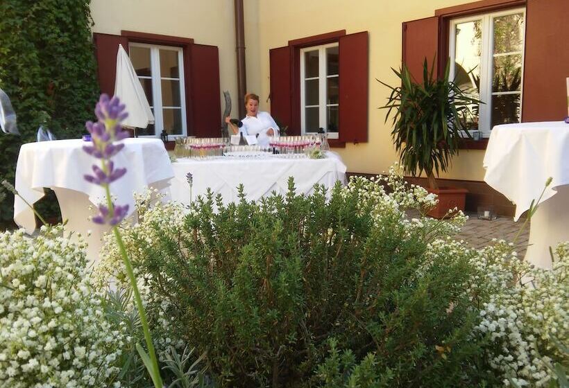 Отель Gut Drasing