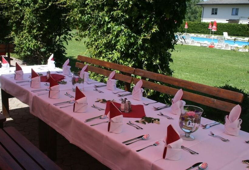 Отель Gut Drasing