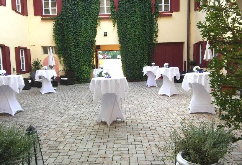 Отель Gut Drasing