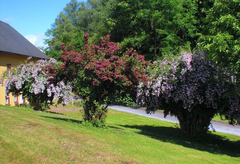 Отель Gut Drasing