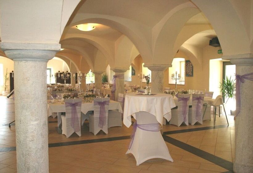 Отель Gut Drasing