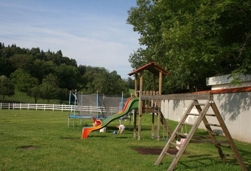 Отель Gut Drasing