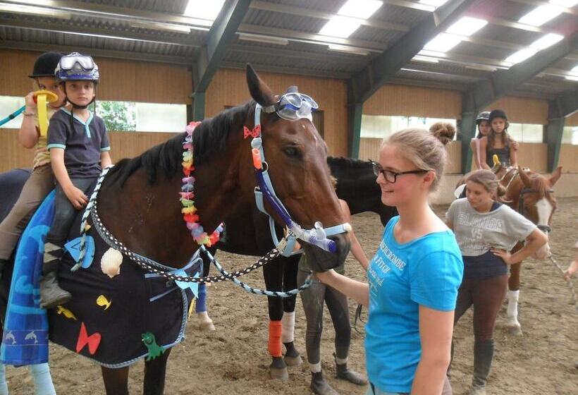 Отель Gut Drasing