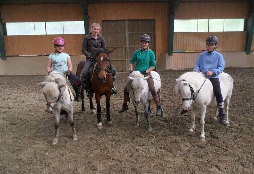 Отель Gut Drasing