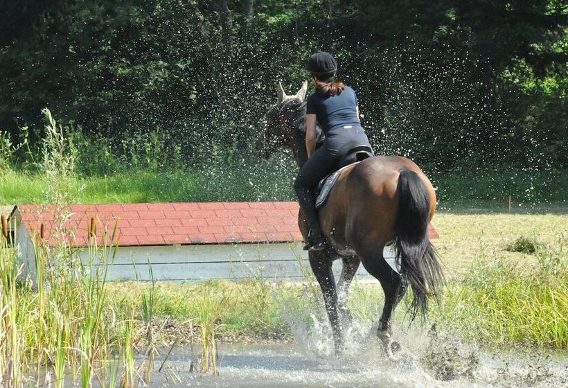 Отель Gut Drasing