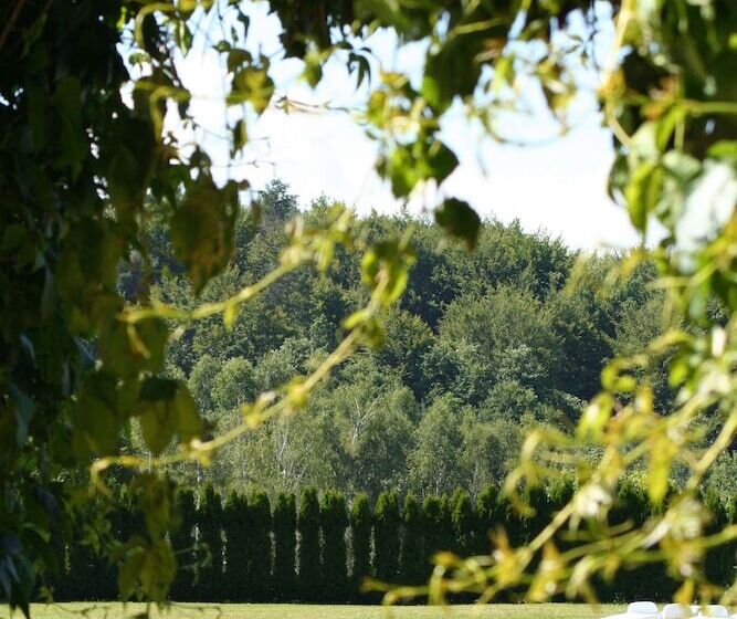 Отель Gut Drasing