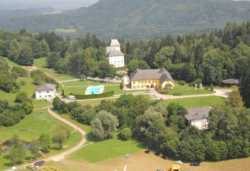 Отель Gut Drasing