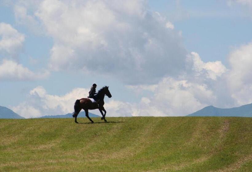 Отель Gut Drasing