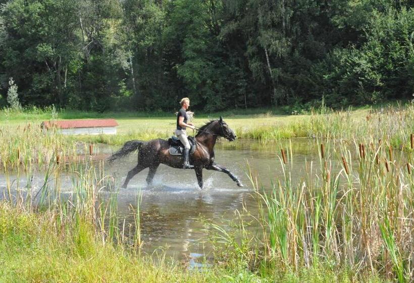 Отель Gut Drasing