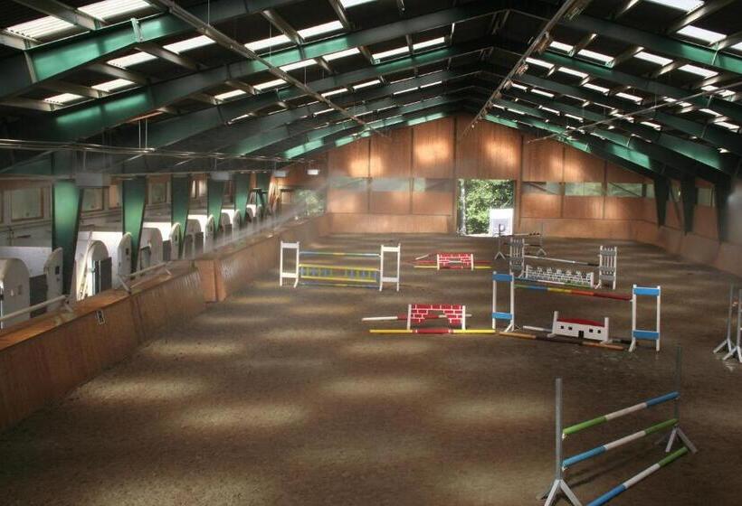 Отель Gut Drasing