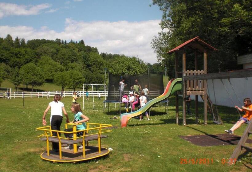 Отель Gut Drasing